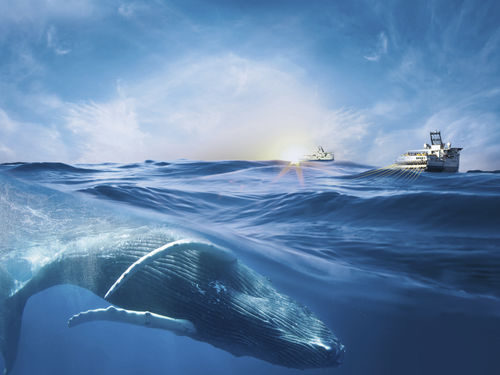 Überwachungssystem für Seewasseranwendungen - QuietSea™ - Sercel Inc.
