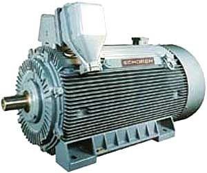 Asynchronmotor - Schorch - AC / für Schifffahrtsanwendungen / Hochgeschwindigkeit