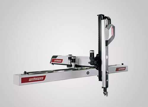 Kartesischer Roboter - Primus series - WITTMANN - 3-Achs