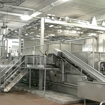 Salzungsmaschine für Käse - tecnical