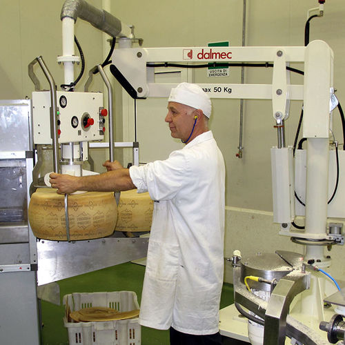 Manipulator für Käse - Partner - DALMEC - pneumatisch / mit Saugnapf / Umschlag