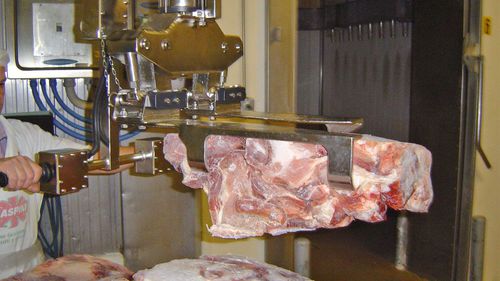 Pneumatischer Manipulator - DALMEC - mit Greifsystem / Umschlag / für Fleisch