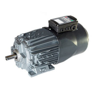 Digitaler Umrichter - ISI - ATB - für Permanentmagnetmotor / für Induktionsmotor / modular