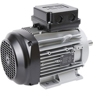 Niederspannungsmotor - ATB - Induktion / dreiphasig / 80 V