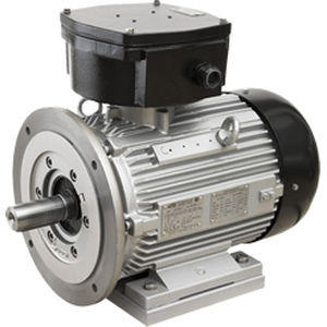 Synchronmotor - ATB - DC / 48 V / ex-geschützt