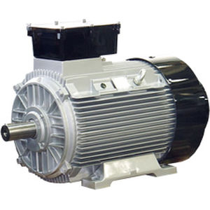 Synchronmotor - ATB - AC / Käfigläufer / IP67