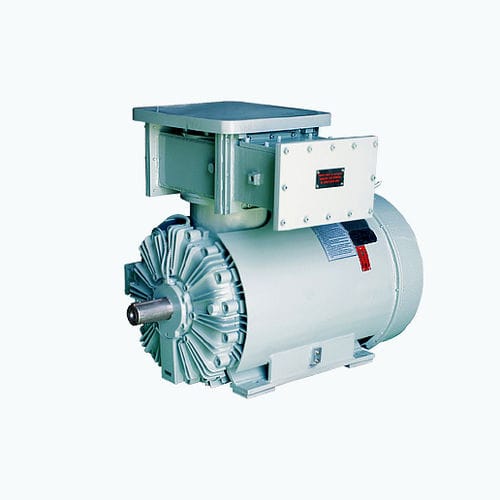 Asynchronmotor - CG Power Systems - AC / Zweiphasen / 6000 V