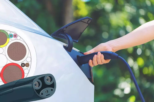 Stromkabel für Elektrofahrzeug-Ladegeräte - EcoSense® NACS - LEONI Cable Solutions - Versorgung / IEC