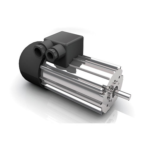 AC-Motor - DR 62.0x80-4 - Dunkermotoren GmbH - dreiphasig / 400 V / gehärtet