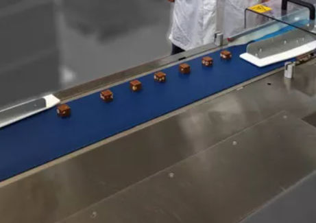 Flacher Treibriemen - Dectyl - AMMERAAL BELTECH - Polyurethan / Thermoplast / Nahrungsmittel
