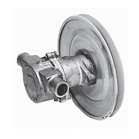 Impellerpumpe - 18840 series - Jabsco - Wasser / selbstansaugend / mobil