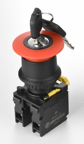 Schlüsselschalter - A2EKS series - Auspicious Electrical Engineering Co., Ltd. - einpolig / IP65 / geschlossen