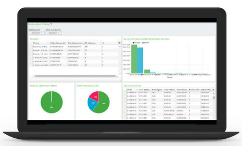 Management-Software - Sage FRP 1000 Comptabilité - Sage bäurer GmbH - Sicherheit / Tracking / Buchhaltung