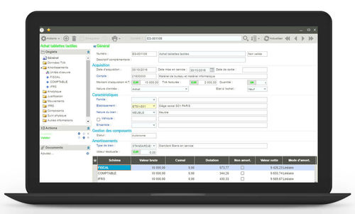 Management-Software - Sage FRP 1000 Immobilisations - Sage bäurer GmbH - Finanzmanagement / Reporting / Tracking
