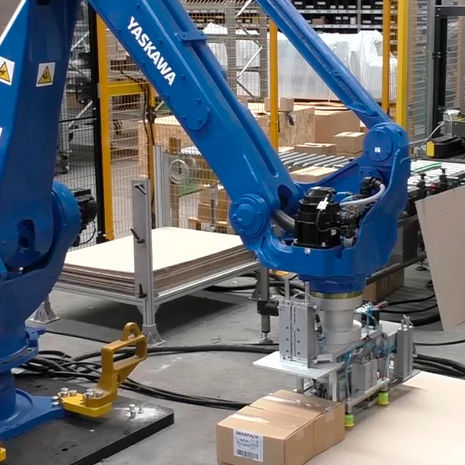 Palettier- und Verpackungsanlage / Roboter - IMANPACK Packaging & Eco Solutions S.p.a.