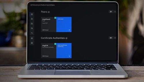 Management-Software - Support for Hyperledger Fabric - IBM - Entwicklungs / für Test / Netzwerk