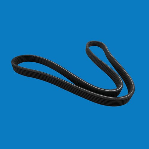 Keilrippen-Treibriemen - Hutchinson Precision Sealing Systems - Poly-V / Gummi / für Lebensmittel