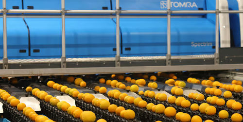 Kalibrieranlage für Obst und Gemüse - Spectrim with LUCAi&reg; - Tomra - für Obst / Zitrusfrüchte / optisch