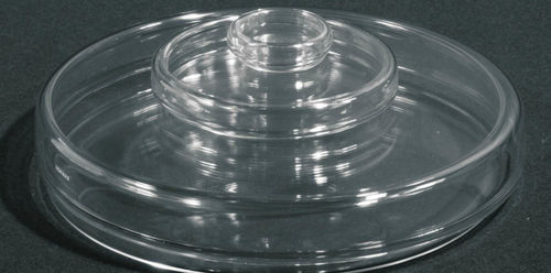 Glas-Petrischale - Normax - Fábrica de Vidro Científico
