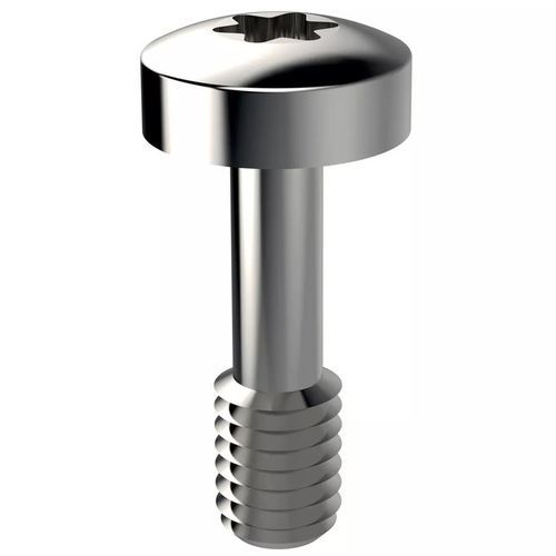 Unterputzplatten-Schraube - SRP0150A2 - Essentra Components - Befestigung / mit gewölbtem Zylinderkopf / Torx