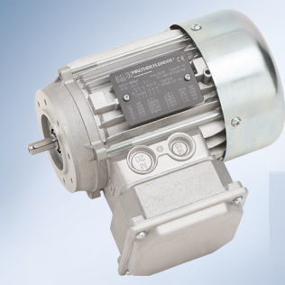 EC-Motor - Walther Flender - 400 V / ATEX / ex-geschützt