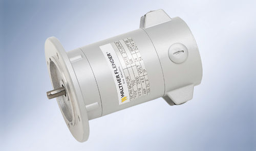 Synchronmotor - Walther Flender - dreiphasig / 24 V / 12 V