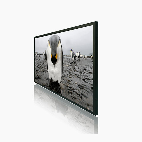 LCD-Monitor - 2706-A series - Litemax Electronics Inc. - TFT / mit LED-Rückbeleuchtung / Industrie