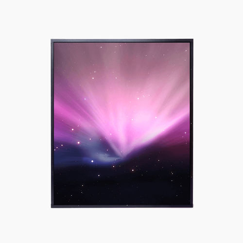 LCD-Monitor - 4215-I series - Litemax Electronics Inc. - mit LED-Rückbeleuchtung / Industrie / 42.1"