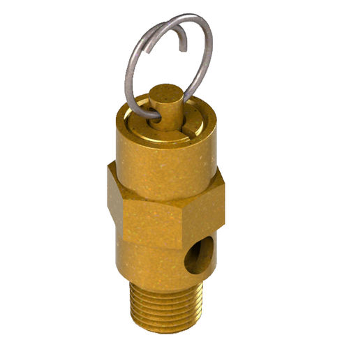 Gewinde-Sicherheitsabblaseventil - U200 series - Valve Check, Inc
