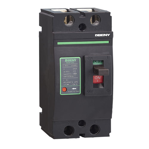 Thermisch-magnetischer Schutzschalter - BDM-250 - Zhejiang Benyi Electrical Co.,ltd. - Gleichstrom / zweipolig / Hochleistung
