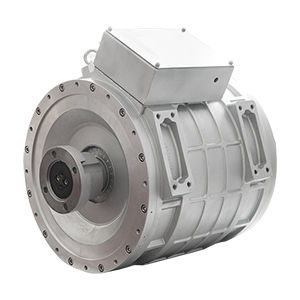 Einphasige Lichtmaschine - Guangzhou ENGGA Generators Co., Ltd - bürstenlos / PMG / DC-Spannung