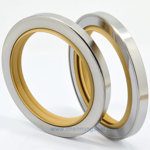 Lippendichtung - CTL series - Ningbo Chenming Seals Manufacturing Co., Ltd. - PTFE / kreisförmig / für Pumpen