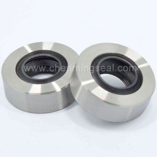 Lippendichtung - CTL series - Ningbo Chenming Seals Manufacturing Co., Ltd. - Edelstahl / PTFE / kreisförmig
