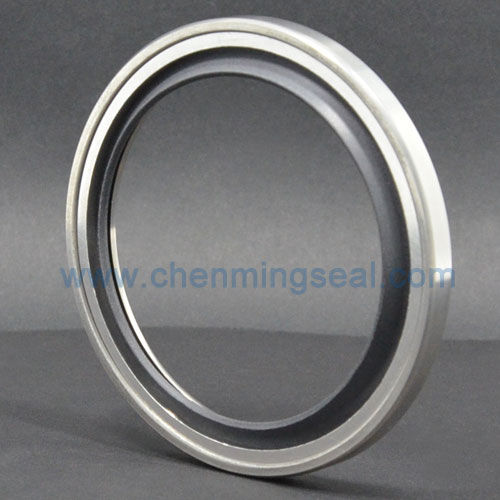 Lippendichtung - PSL series - Ningbo Chenming Seals Manufacturing Co., Ltd. - Edelstahl / PTFE / kreisförmig