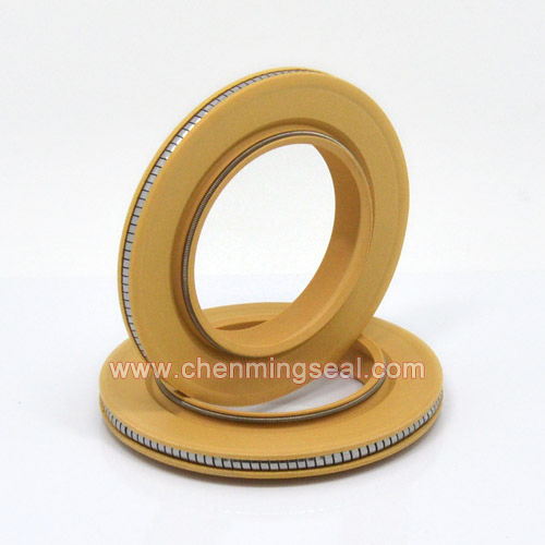 Lippendichtung - SPC series - Ningbo Chenming Seals Manufacturing Co., Ltd. - gefederte / PTFE / Polyamid