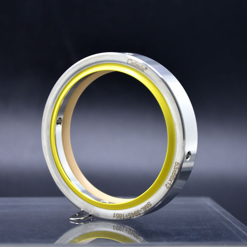 Lippendichtung - Ningbo Chenming Seals Manufacturing Co., Ltd. - Edelstahl / PTFE / kreisförmig