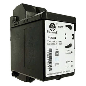 Einphasiger elektrischer Energiezähler - P12G04 - Ningbo Sanxing Electric Co., Ltd - für DIN-Schiene / vorausbezahlt