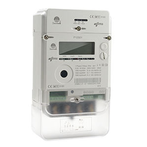 Einphasiger elektrischer Energiezähler - P12S01 - Ningbo Sanxing Electric Co., Ltd - wandmontiert / digital / für Wohnhaus