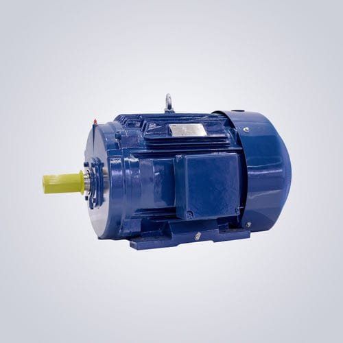 NEMA-Motor - NEPM-Series 143T~449T (TC, TS) - Jiangsu Dazhong Electric Motor CO., Ltd - Asynchron / dreiphasig / 380 V
