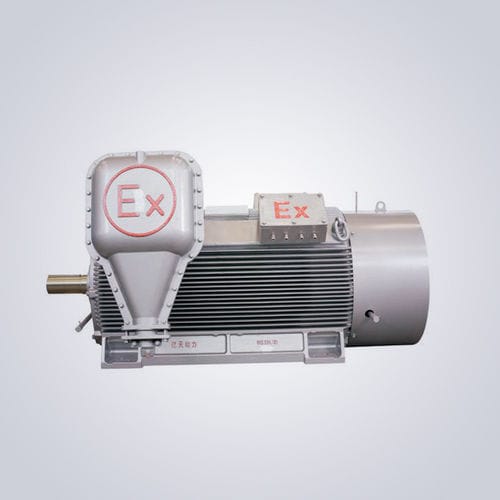 Hochspannungsmotor - YB2 - Jiangsu Dazhong Electric Motor CO., Ltd - Asynchron / dreiphasig / 6000 V