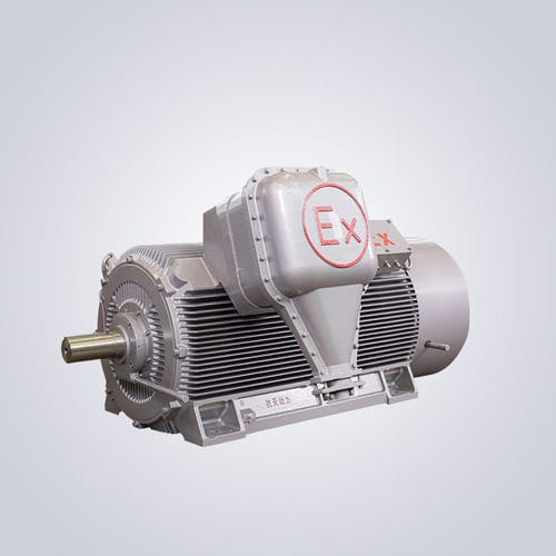 Hochspannungsmotor - YBKS - Jiangsu Dazhong Electric Motor CO., Ltd - Asynchron / dreiphasig / 6000 V