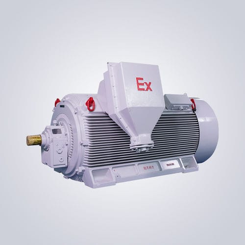Funkensicherer Motor - Y2W - Jiangsu Dazhong Electric Motor CO., Ltd - Asynchron / dreiphasig / 6000 V