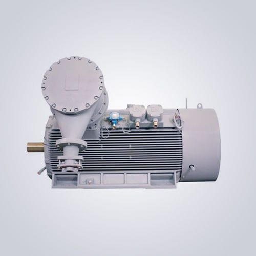 Motor mit niedriger Drehzahl - TYCPX series - Jiangsu Dazhong Electric Motor CO., Ltd - Synchron / dreiphasig / 6000 V