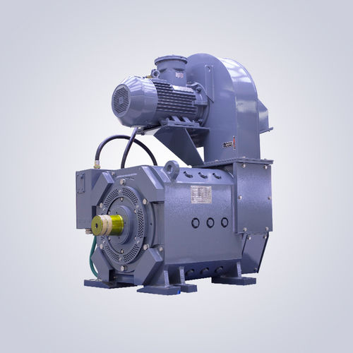 Motor für Bohrinsel - HZJ - Jiangsu Dazhong Electric Motor CO., Ltd - Synchron / DC / ex-geschützt