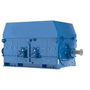 Dreiphasige Lichtmaschine - 1200PH - Enerset Electric Ltd. - Permanentmagnet / IP54 / IP68