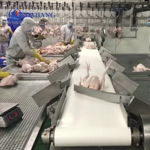 Manuelle Schleifmaschine - DHWS600*300-8 - Zhuhai dahang intelligent equipment co., LTD - Hochleistung