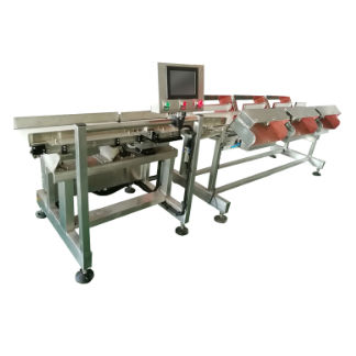 Sortiermaschine für die Lebensmittelindustrie - DHWS400*150-4 - Zhuhai dahang intelligent equipment co., LTD - für Prozess