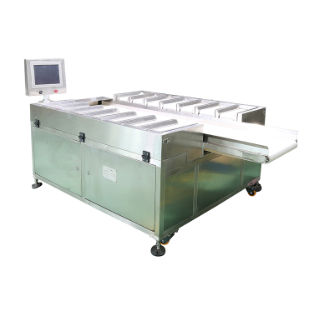 Dosier- und Mischanlage / Band - DHPZ-400*150-14 - Zhuhai dahang intelligent equipment co., LTD - per Gewicht / für die Lebensmittelindustrie / Hochpräzision
