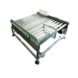 Rollenförderer - Zhuhai dahang intelligent equipment co., LTD - Sortierung / Wäge / Edelstahl