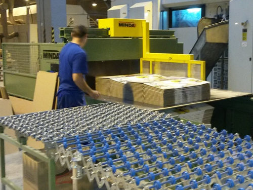 Schichtpalettierer - MINDA Industrieanlagen GmbH - für Karton / halbautomatisch